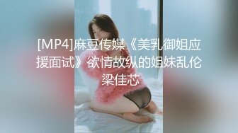 [MP4]麻豆传媒《美乳御姐应援面试》欲情故纵的姐妹乱伦 梁佳芯