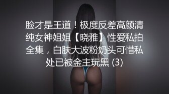 脸才是王道！极度反差高颜清纯女神姐姐【晓雅】性爱私拍全集，白肤大波粉奶头可惜私处已被金主玩黑 (3)