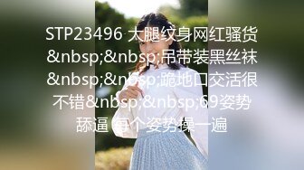 STP23496 大腿纹身网红骚货&nbsp;&nbsp;吊带装黑丝袜&nbsp;&nbsp;跪地口交活很不错&nbsp;&nbsp;69姿势舔逼 每个姿势操一遍