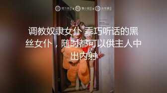 调教奴隶女仆 乖巧听话的黑丝女仆，随时都可以供主人中出内射