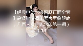 91CM-122.林凤娇.黄雪纯.妻子的野望.下.91制片厂