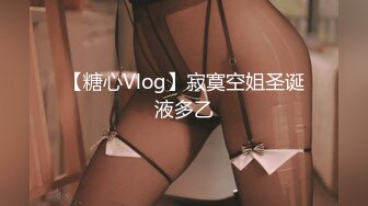 【糖心Vlog】寂寞空姐圣诞液多乙