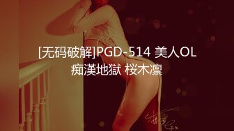 [无码破解]PGD-514 美人OL痴漢地獄 桜木凛