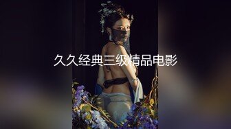 久久经典三级精品电影