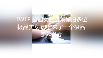 TWTP 公园女厕全景偷拍多位极品美女嘘嘘 来了一个极品黑丝美女