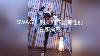 SWAG 一对夫妇在爱有性别在厨房里