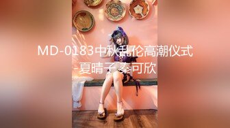 MD-0183中秋乱伦高潮仪式-夏晴子 秦可欣