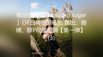 极品长腿TS「dalkom sugar」OF日常性爱私拍 露出、捆缚、群P尺度拉满【第一弹】 (3)