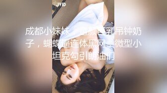 成都小妹妹，童颜巨乳吊钟奶子，蝴蝶逼连体黑网，微型小坦克勾引朗油们