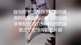 骚母狗 戴口球脖子拴着狗绳 那种征服感有点爽 母狗也是非常配合 没几分钟母狗的逼就湿了被操得阴唇外翻