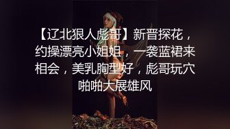 【辽北狠人彪哥】新晋探花，约操漂亮小姐姐，一袭蓝裙来相会，美乳胸型好，彪哥玩穴啪啪大展雄风