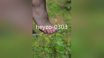 heyzo-0303