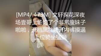 [MP4/ 473M] 文轩探花深夜场壹哥上场约了个非常廋妹子啪啪，开档黑丝拨开内裤摸逼上位骑坐猛操