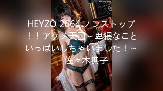 HEYZO 2664 ノンストップ！！アクメ天国～卑猥なこといっぱいしちゃいました！～ – 佐々木典子