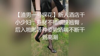 【渣男一号探花】新人酒店干小少妇，身材不错细腰翘臀，后入啪啪各种姿势娇喘不断干到高潮