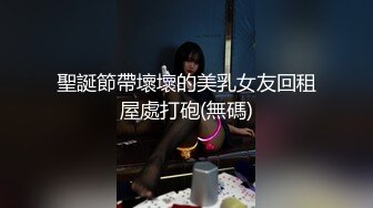 聖誕節帶壞壞的美乳女友回租屋處打砲(無碼)