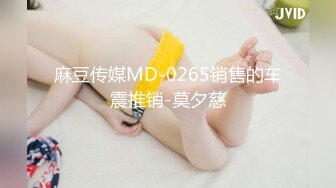 麻豆传媒MD-0265销售的车震推销-莫夕慈