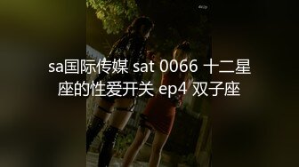 sa国际传媒 sat 0066 十二星座的性爱开关 ep4 双子座