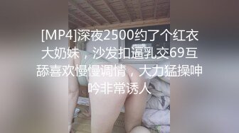 [MP4]深夜2500约了个红衣大奶妹，沙发扣逼乳交69互舔喜欢慢慢调情，大力猛操呻吟非常诱人