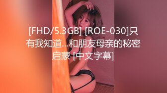 [FHD/5.3GB] [ROE-030]只有我知道…和朋友母亲的秘密启蒙 [中文字幕]