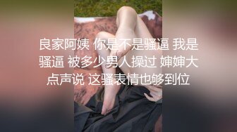 良家阿姨 你是不是骚逼 我是骚逼 被多少男人操过 婶婶大点声说 这骚表情也够到位