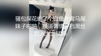 骚包探花约了个白色外套马尾妹子啪啪，摸逼调情开档黑丝后入大力猛操