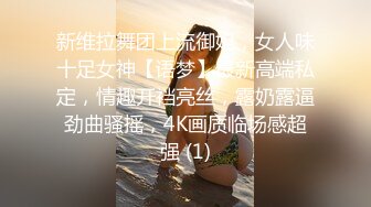 新维拉舞团上流御姐，女人味十足女神【语梦】最新高端私定，情趣开裆亮丝，露奶露逼劲曲骚摇，4K画质临场感超强 (1)