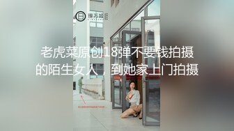 来一个带手势验证的