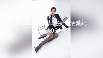 [PCDE-006] 某宅男的活動紀錄06