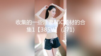 收集的一些淫妻BBC题材的合集1【385V】 (271)