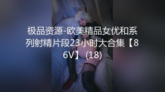 极品资源-欧美精品女优和系列射精片段23小时大合集【86V】 (18)