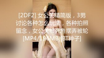 [2DF2] 女公关精简版，3男讨论各种怎么玩法，各种拍照留念，女公关被死鱼摆弄被轮[MP4/196MB][BT种子]