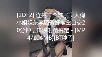 拿去撸必射，超极品高能预警