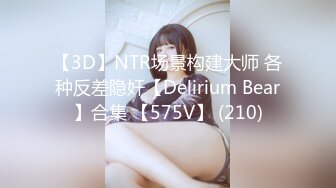 【3D】NTR场景构建大师 各种反差隐奸【Delirium Bear】合集 【575V】 (210)