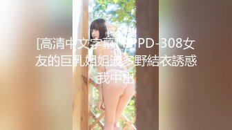 [高清中文字幕] PPPD-308女友的巨乳姐姐波多野結衣誘惑我中出