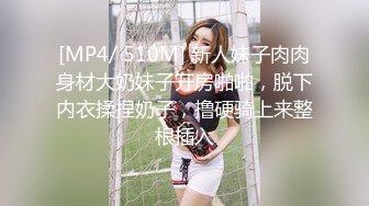 [MP4/ 510M] 新人妹子肉肉身材大奶妹子开房啪啪，脱下内衣揉捏奶子，撸硬骑上来整根插入