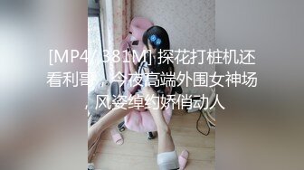 [MP4/ 381M] 探花打桩机还看利哥，今夜高端外围女神场，风姿绰约娇俏动人