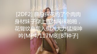 [2DF2] 薛总探花约了个肉肉身材妹子穿上连体网袜啪啪，花臂纹身后入侧入大力猛操呻吟[MP4/117MB][BT种子]