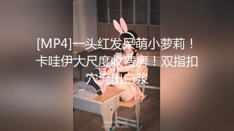 毒药杭州17公分雁型JJ第二季第二部