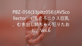 PBZ-056(33pbz056)[AVScollector’s]乳とろニクス巨乳、むき出し姉ちゃん犯りたおし。Vol.6