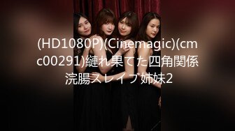 (HD1080P)(Cinemagic)(cmc00291)縺れ果てた四角関係 浣腸スレイブ姉妹2