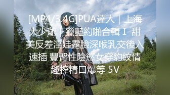 [MP4/3.4G]PUA達人｜上海大少爺｜獵豔約啪合輯Ⅰ 甜美反差淫娃露臉深喉乳交後入速插 豐臀性陰慾女穿豹紋情趣榨精口爆等 5V