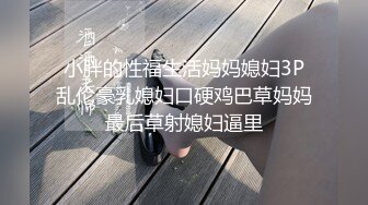 小胖的性福生活妈妈媳妇3P乱伦豪乳媳妇口硬鸡巴草妈妈最后草射媳妇逼里