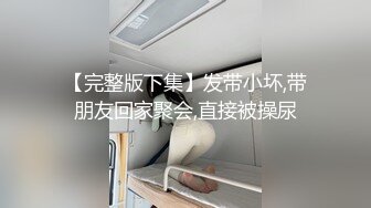 国产博主HongKongDoll（玩偶姐姐）onlyfans高清原档资源合集 (62)