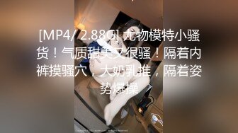 [MP4/ 2.88G] 尤物模特小骚货！气质甜美又很骚！隔着内裤摸骚穴，大奶乳推，隔着姿势爆操