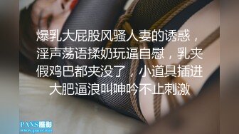 爆乳大屁股风骚人妻的诱惑，淫声荡语揉奶玩逼自慰，乳夹假鸡巴都夹没了，小道具插进大肥逼浪叫呻吟不止刺激