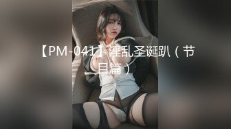 【PM-041】淫乱圣诞趴（节目篇）