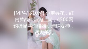 [MP4/ 310M] 小宝寻花，红内裤战神带病上岗，4500网约极品平面模特，清纯女神，诱人美乳