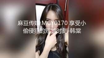 麻豆传媒 MCY0170 享受小偷侵犯的短暂时刻-韩棠