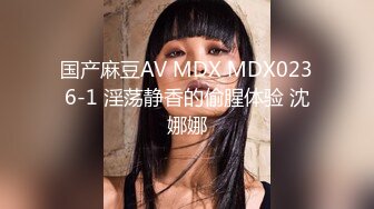 国产麻豆AV MDX MDX0236-1 淫荡静香的偷腥体验 沈娜娜